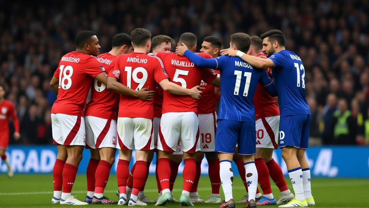 Looking ahead: Forest’s next steps